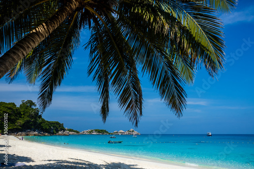 Fototapeta Naklejka Na Ścianę i Meble -  A beautiful tropical sandy beach and ocean on a small island (Similan Islands, Thailand)