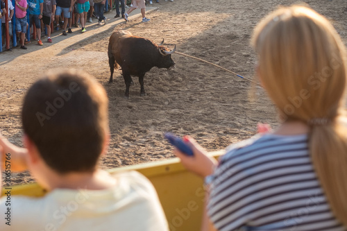  a bull in a festival of a town in Spain