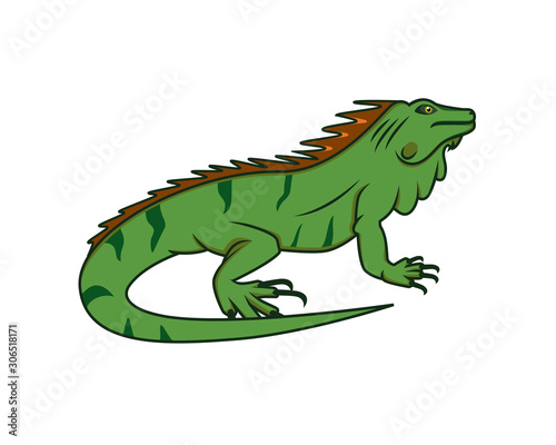 Detailed Crawling Iguana the Reptile Animal Illustration