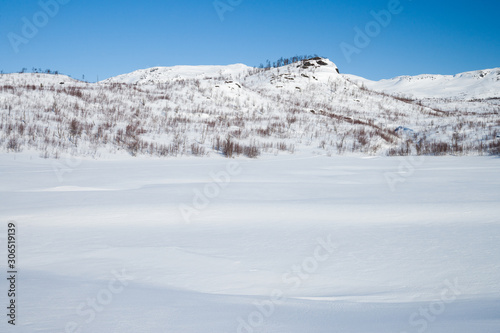 beautiful sunny winter day in sweden © Alexander Erdbeer