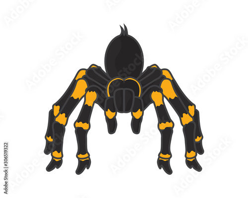 Detailed Spider with Standing Gesture Illustration