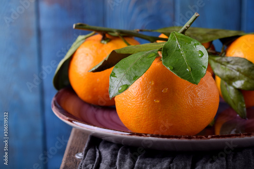 Mandarins with green leaves on the ceramic plate against the blue wooden background
