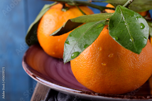 Mandarins with green leaves on the ceramic plate against the blue wooden background
