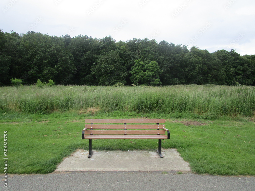 empty bench in the park