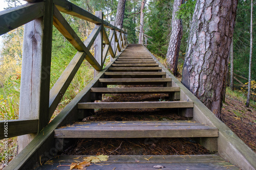 Wooden stairs in the hill in forest on a cloudy day. autumn begins.