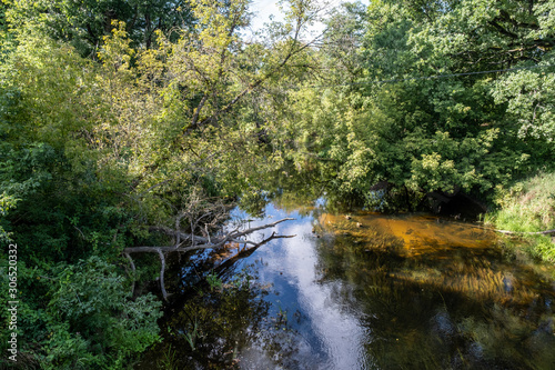 Quiet forest river on a sunny summer day. reflections of the trees in river. forest landscape.