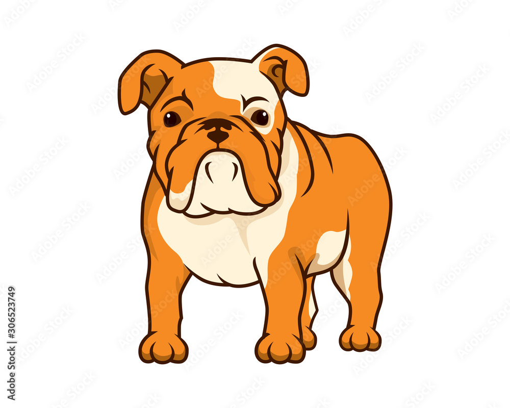 Detailed Bulldog with Standing and Watching Gesture Illustration Detailed Bulldog with Standing and Watching Gesture Illustration