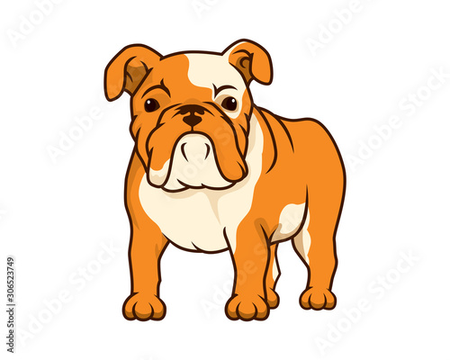 Detailed Bulldog with Standing and Watching Gesture Illustration
