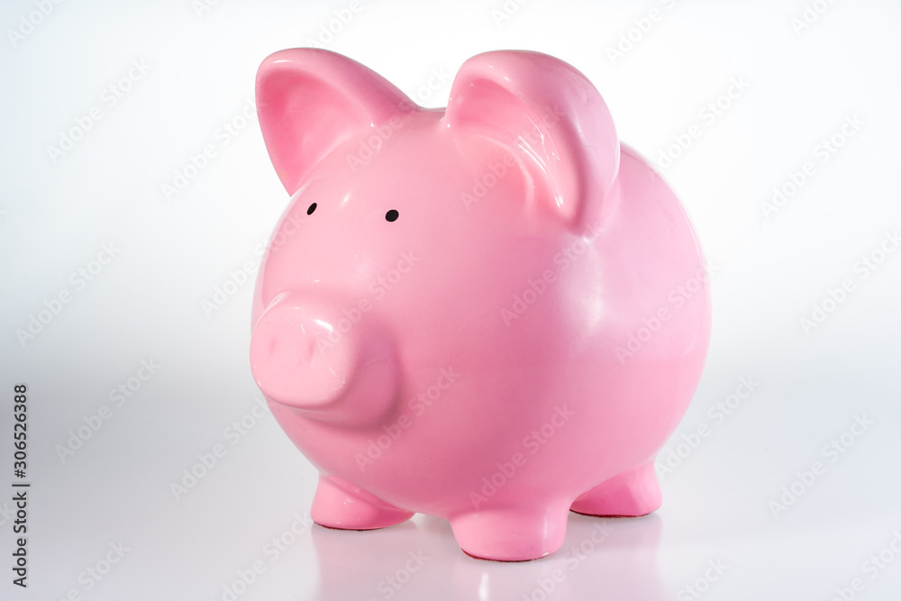 Piggy Bank on a White Background