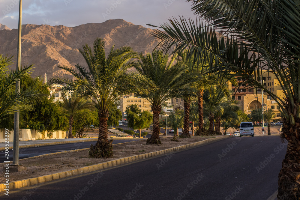 the most south Jordanian city Aqaba landmark town street with palm alley 