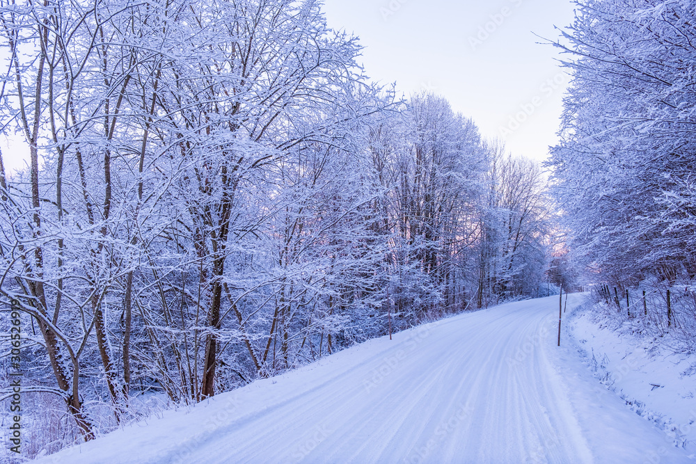 Obraz premium Winter road with snow in a forest at daybreak