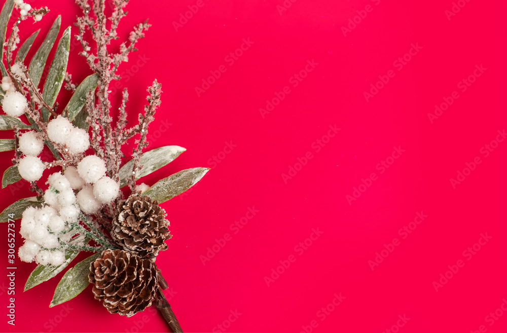 Beautiful christmas decoration. Christmas tree branch  and pine cones, on a red background.