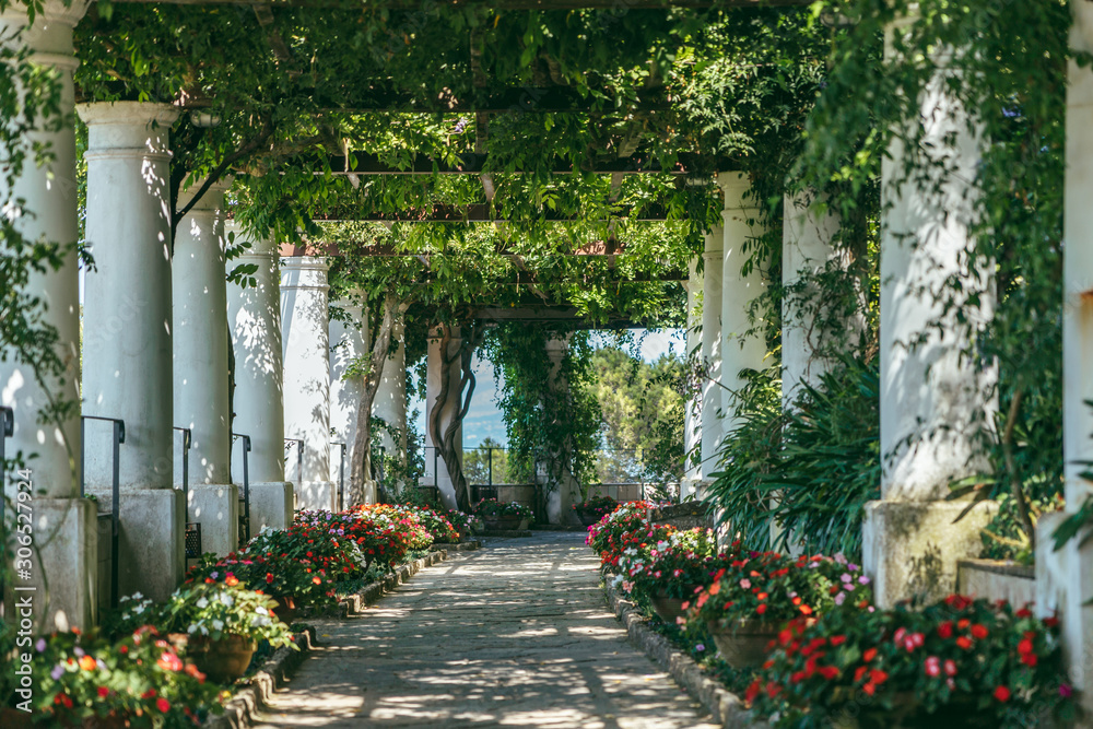 Beautiful floral passage with columns and plants overhead in garden in Anacapri, capri island, Italy