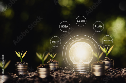 The light bulb shone brightly on the ground and there were seedlings growing on the coins  Financial growth concept.