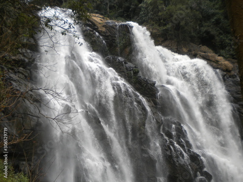 waterfall in the forest
