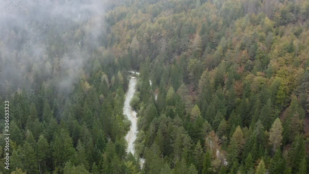 Flying above foggy pine forest treetops. Thick misty clouds rising from lush spruce forest on cold morning day. Creepy fog and mist wrapping green pine forest in early autumn morning. Aerial footage Flying above foggy pine forest treetops. Thick misty clouds rising from lush spruce forest on cold morning day. Creepy fog and mist wrapping green pine forest in early autumn morning. Aerial footage