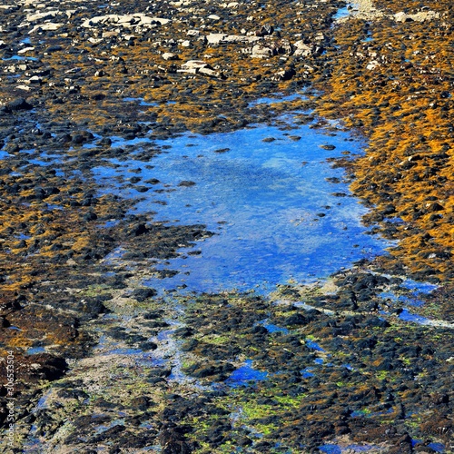 Water puddle and rock texture at the ocean coast photo