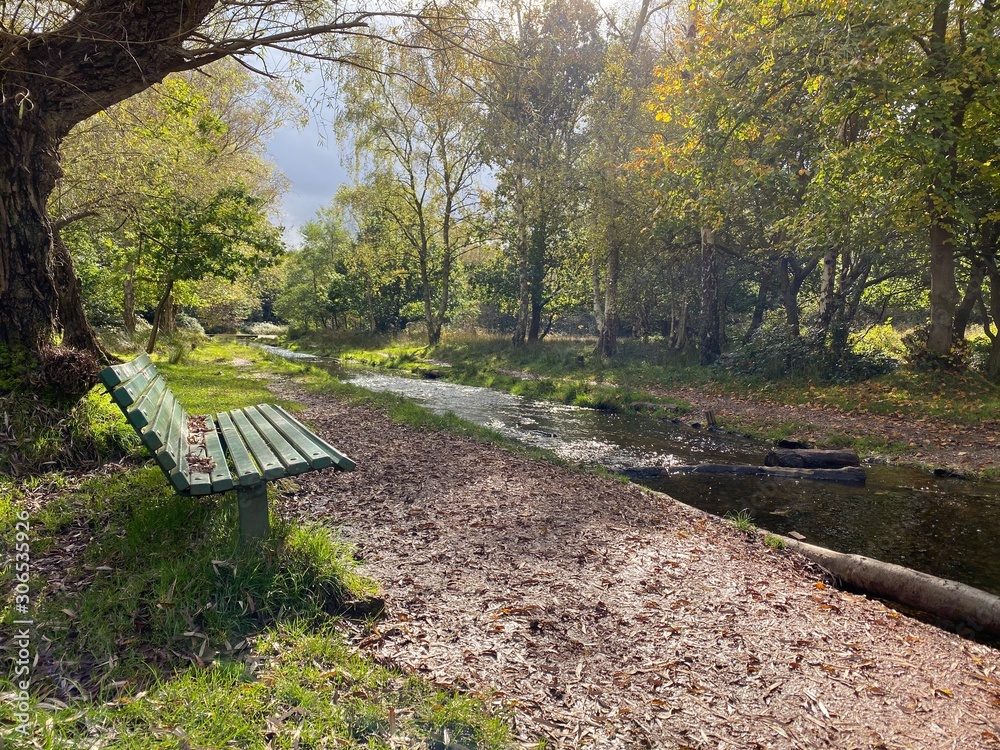 Fototapeta premium Bench in the park
