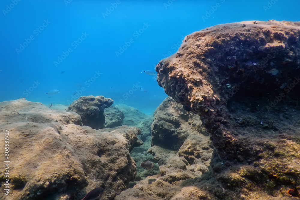 Ocean Rocks Small Underwater Ocean Rocks