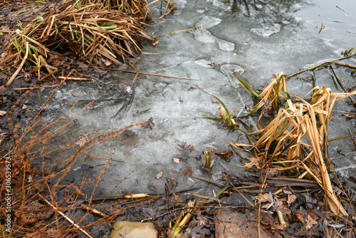 Frozen Pond © Mashelsby