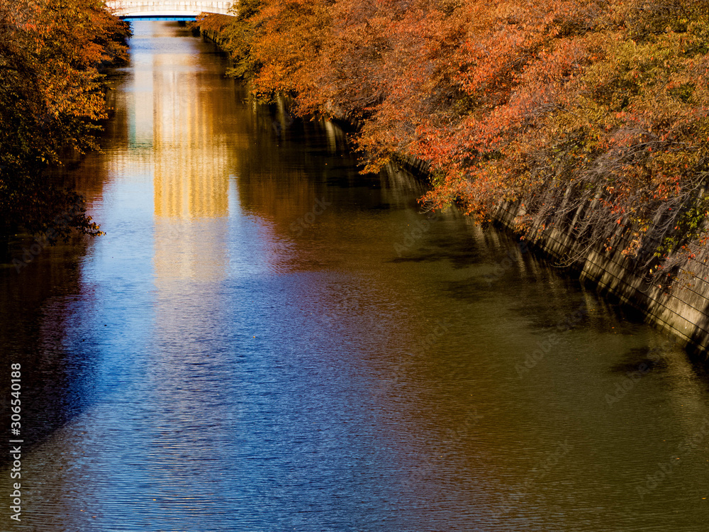 目黒川の紅葉 Stock Photo | Adobe Stock