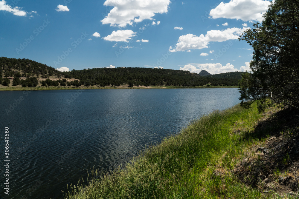 Quemado Lake, N.M. north shore.