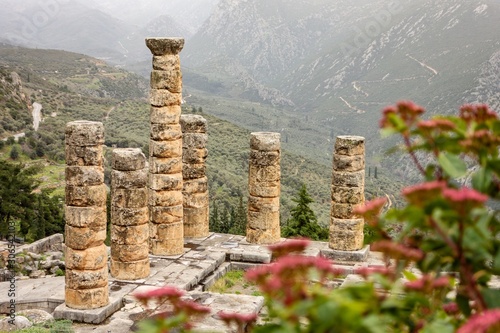 The ruin of the Temple Apollo in Delphi behind red plant whuch is out of focus for better depth effect