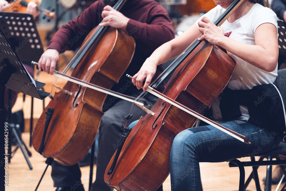 Fototapeta premium Musicians, orchestra and musical instruments