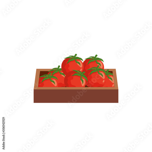 tomatoes vegetables in wooden box isolated icon vector illustration design