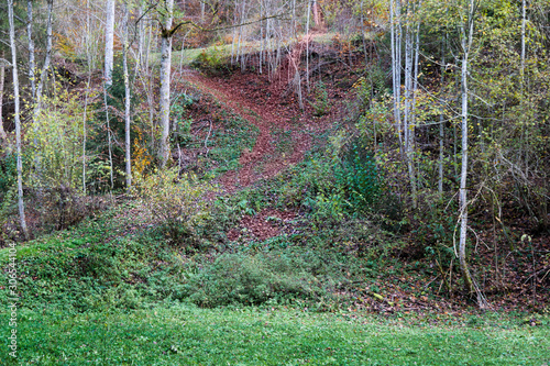 brown autumn trail on a hill behind a forest clearing covered with green grass