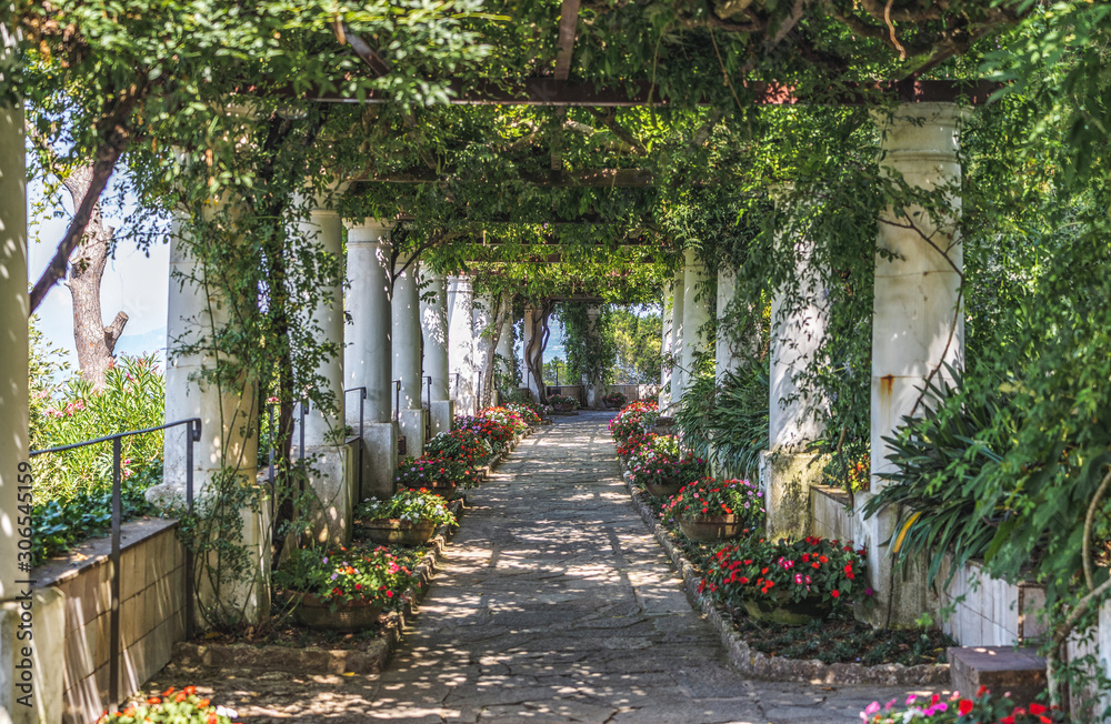 Obraz premium Beautiful floral passage with columns and plants overhead in garden in Anacapri, capri island, Italy