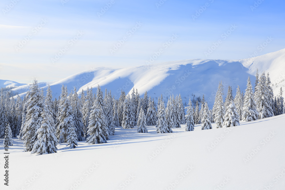 Snowy Landscape Wallpaper With Trees Snow White Winter Background