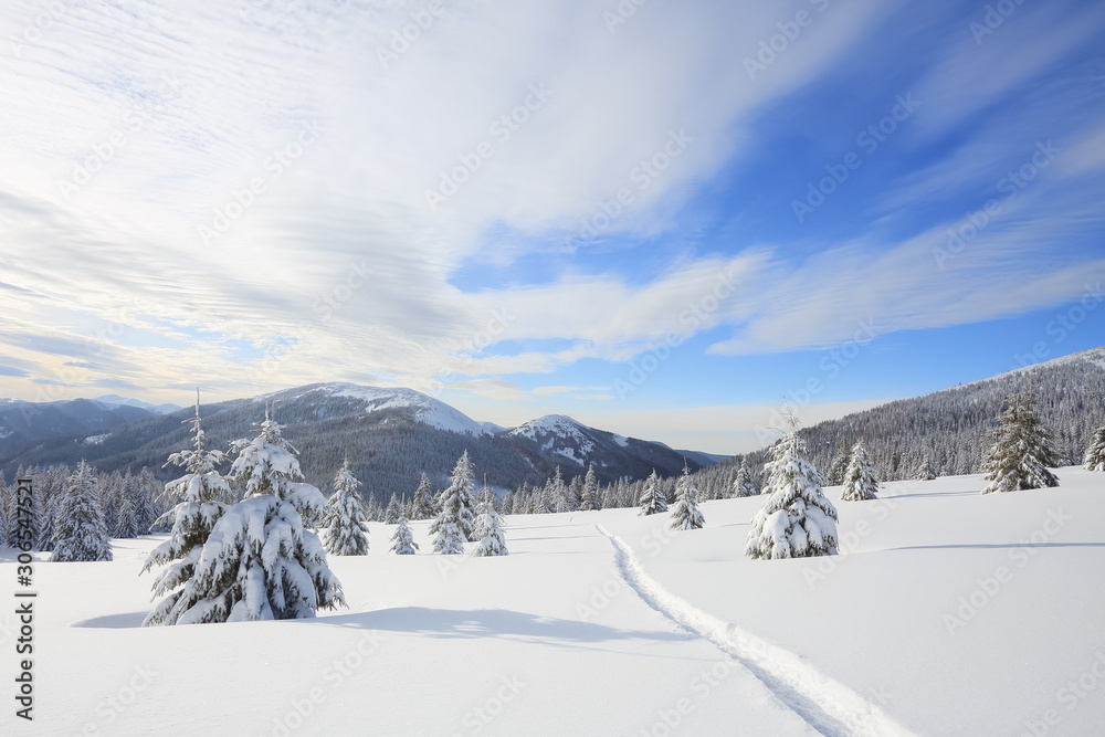 Beautiful landscape of high mountains, wood and blue sky. Winter scenery. Lawn covered with white snow. Location place Carpathian, Ukraine, Europe. Beautiful landscape of high mountains, wood and blue sky. Winter scenery. Lawn covered with white snow. Location place Carpathian, Ukraine, Europe.