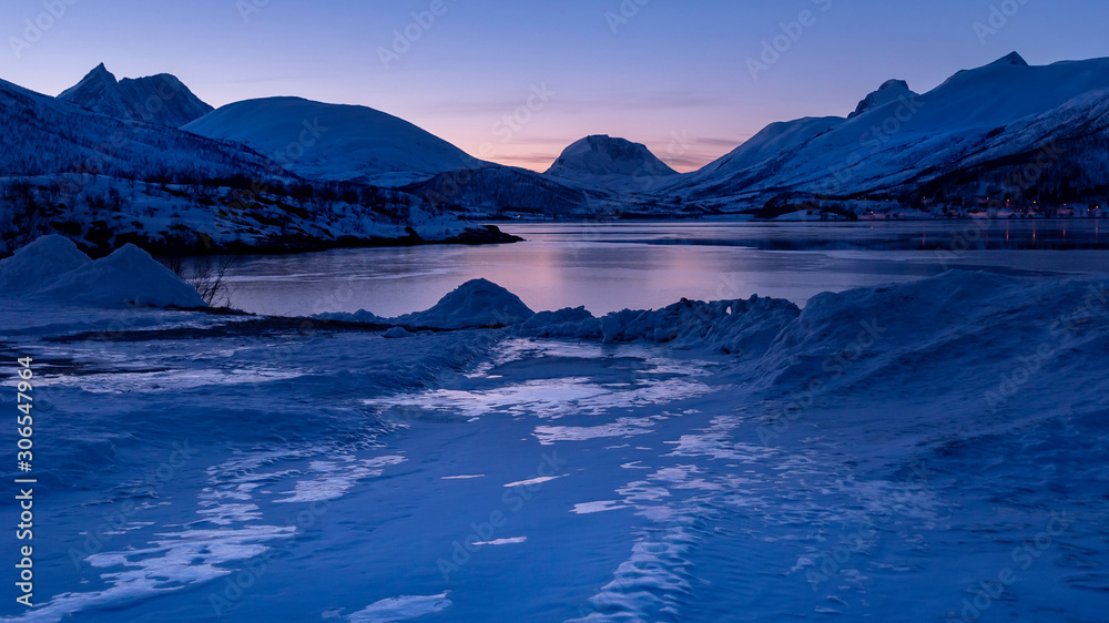 bord d'un fjord gelé à l'heure bleue et couleurs magenta avec des arbres sans feuilles paysage tranquille
