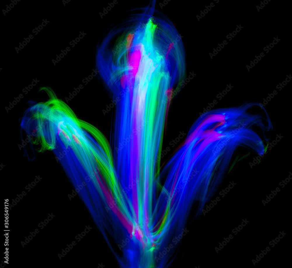 Light painting flower art. Abstract background of light trails.
