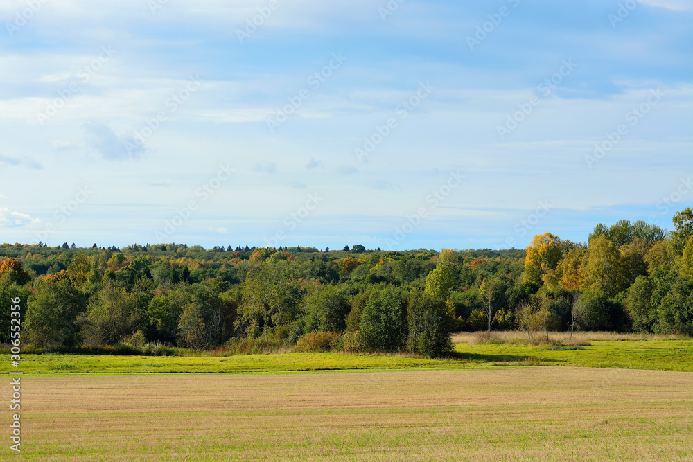 Autumn landscape compressed field