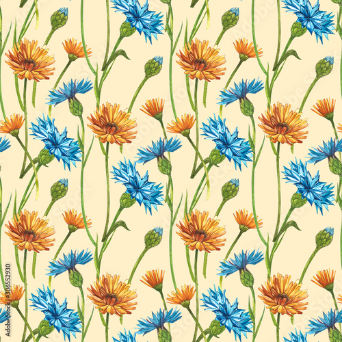 Wallpaper Mural Blue Cornflower Herb or bachelor button flower bouquet with Calendula flowers isolated on white background. Set of drawing cornflowers, floral elements, watercolor botanical illustration. Seamless Torontodigital.ca