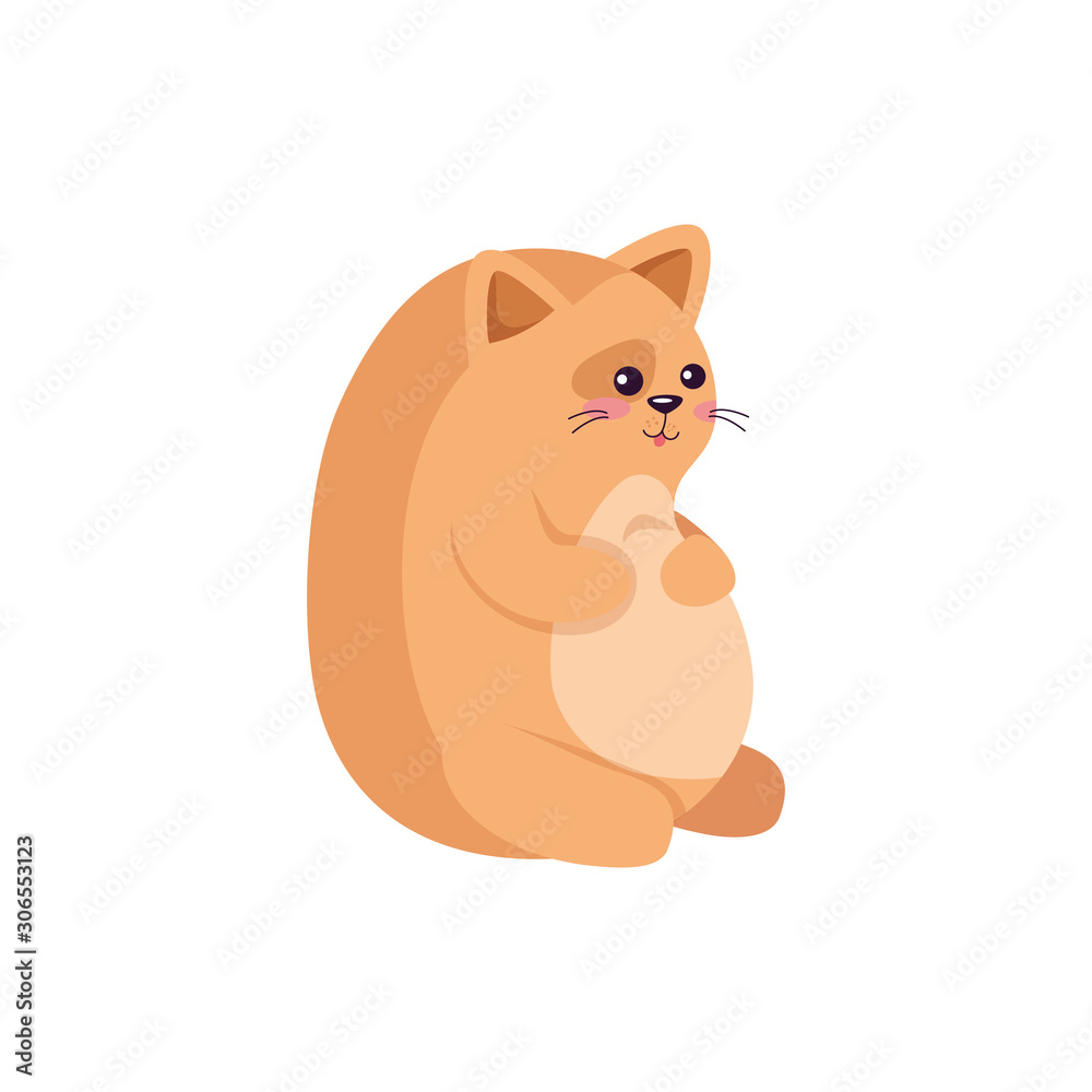 Cat cartoon design, Animal cute zoo life nature and fauna theme Vector illustration Cat cartoon design, Animal cute zoo life nature and fauna theme Vector illustration
