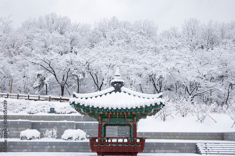 Landscape of a park with lots of snow.