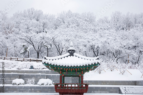 Canvas Print Landscape of a park with lots of snow.