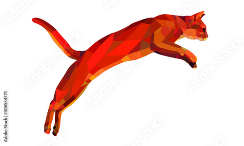 jumping geometric cat