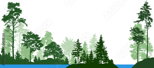 Forest landscape from isolated trees. Forest river. Vector illustration