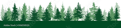 Summer forest horizon. Silhouettes of fir trees. Vector illustration