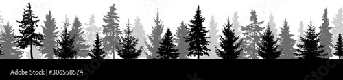 Seamless pattern. Silhouette of forest (fir trees). Vector illustration