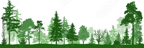 Forest park. Silhouette vector. Landscape of isolated trees photo