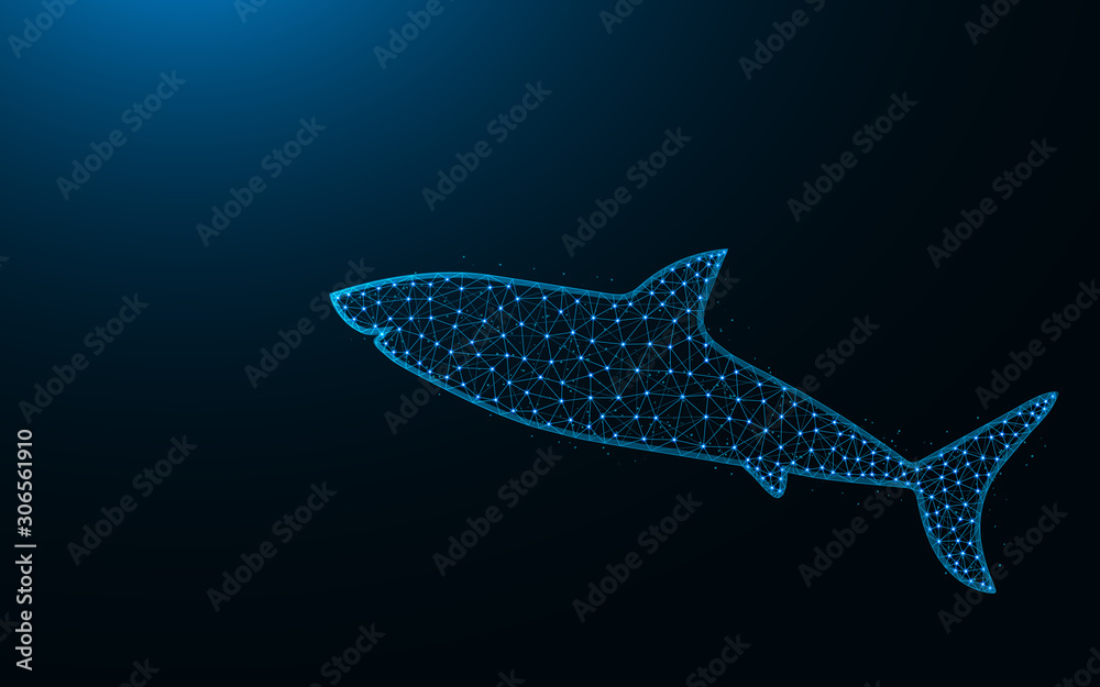 Shark polygonal vector illustration Shark polygonal vector illustration