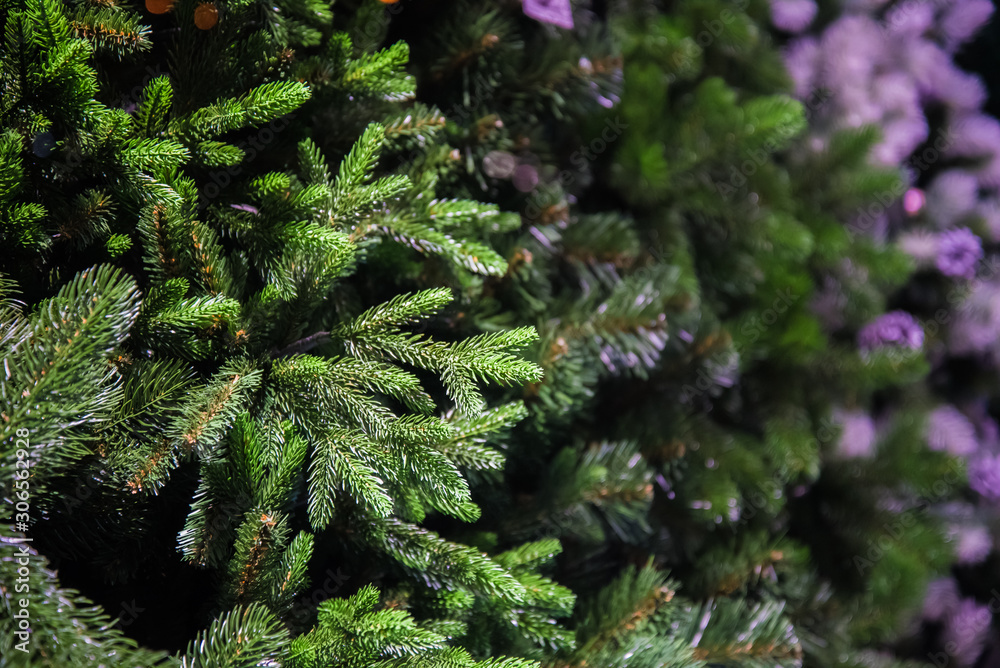 Decorative artificial Christmas trees in the store. Sale of Christmas trees before Christmas. New Year.