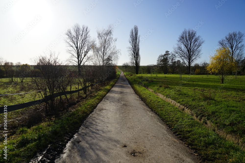 Idyllische schmale Strasse bei Sonnenschein zwischen Feldern Idyllische schmale Strasse bei Sonnenschein zwischen Feldern
