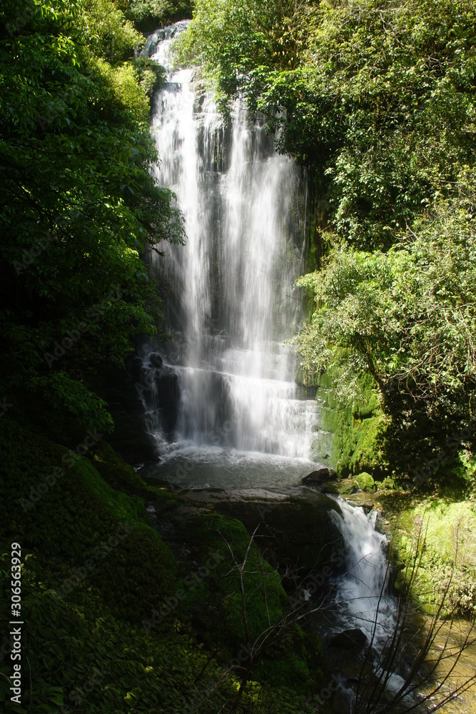 Fototapeta premium Neuseeland PioPio Waitanguru Falls