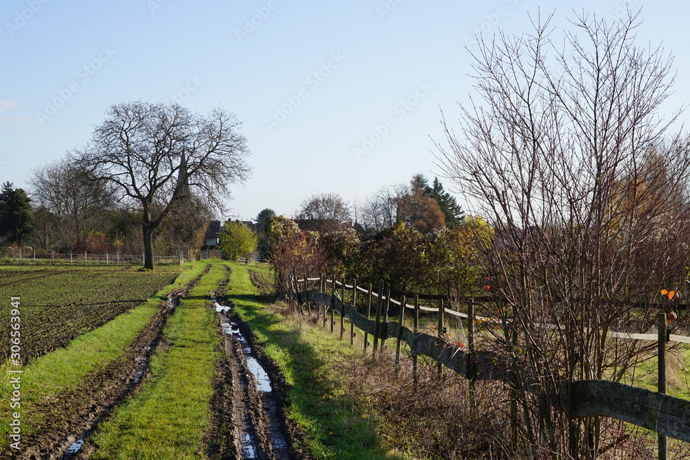 Sonniger Feldweg bei Essingen in Rheinland-Pfalz Sonniger Feldweg bei Essingen in Rheinland-Pfalz